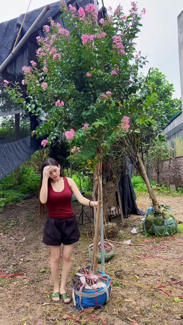 @Khổng La