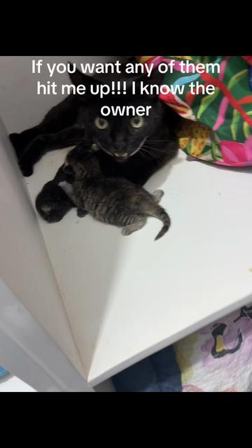 @Dr. Stacia Goodlit Betty