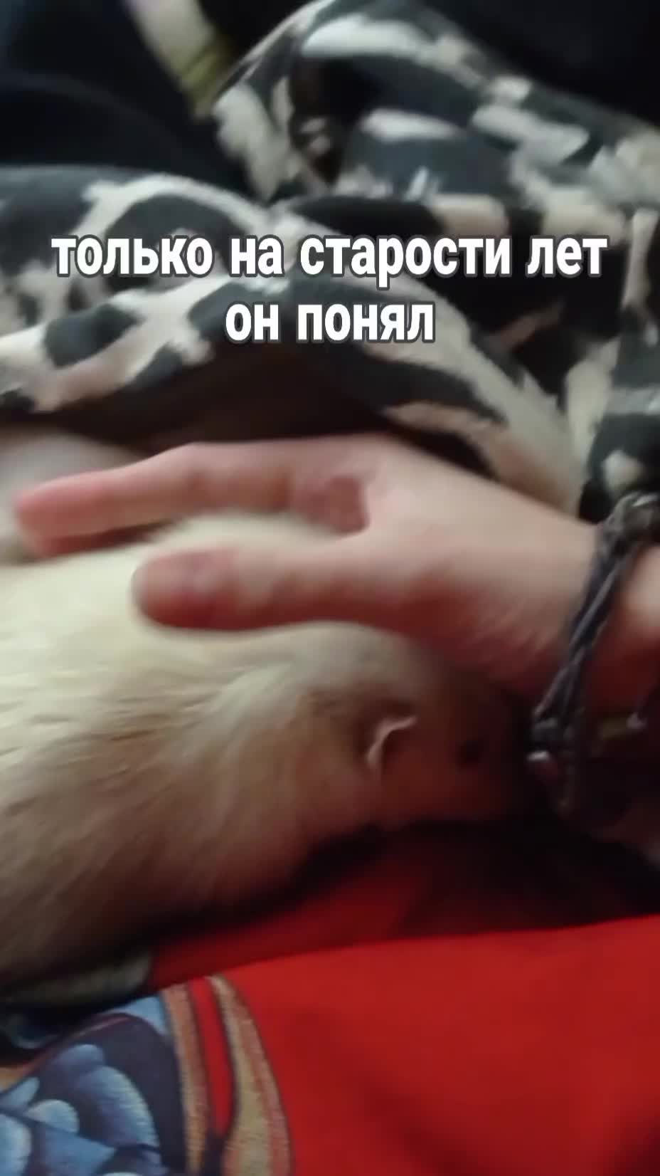 @Валентина Белякова