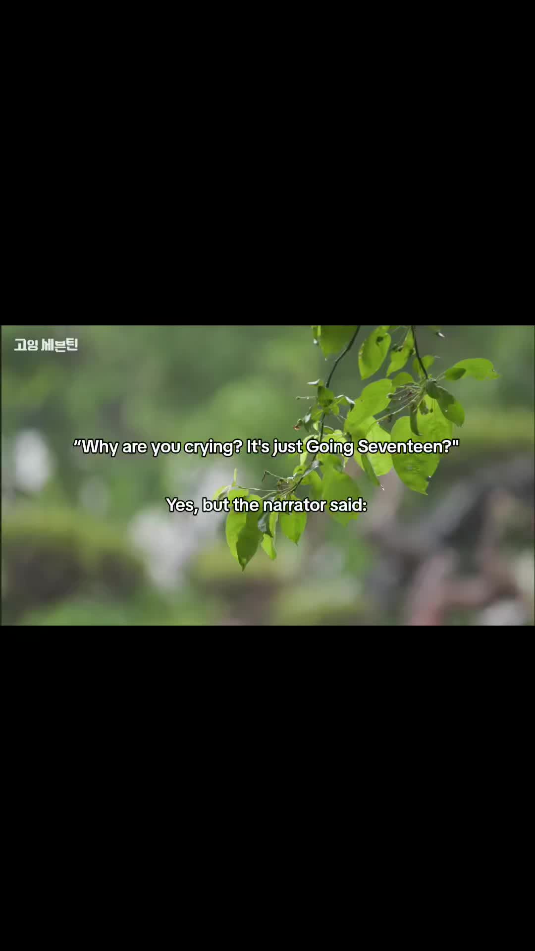 @hushhosh