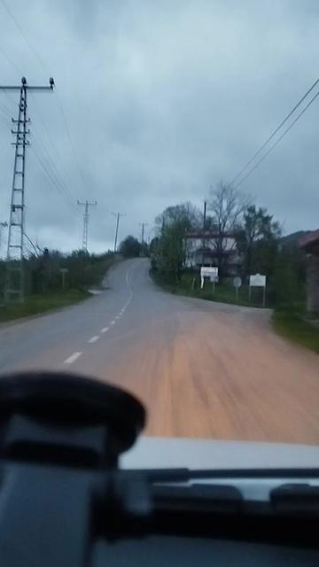 @yaşlı kurt