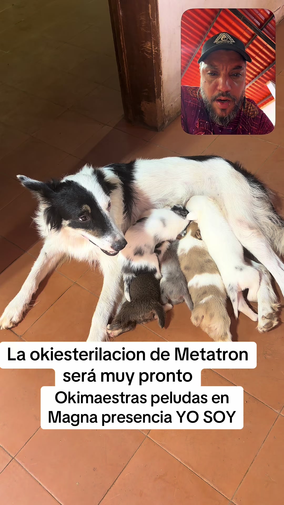 @okinagua