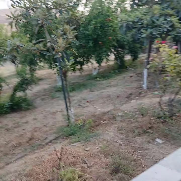 @Barış