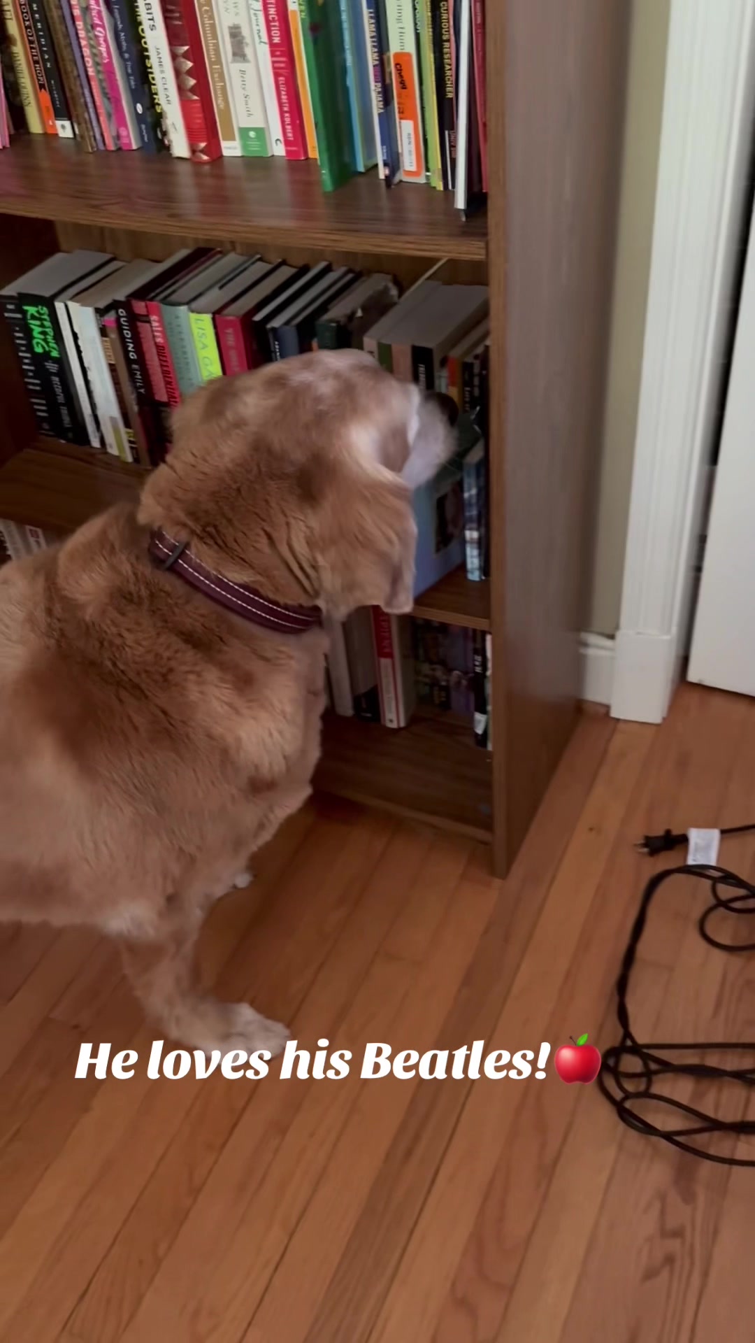 @lifewithduke2025