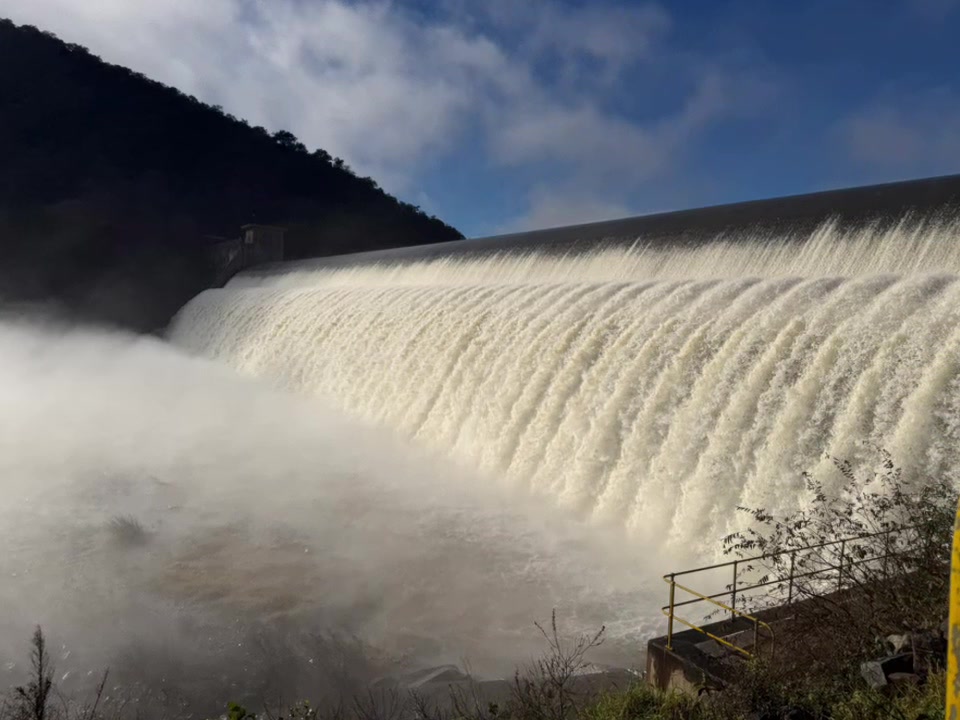 @chane938