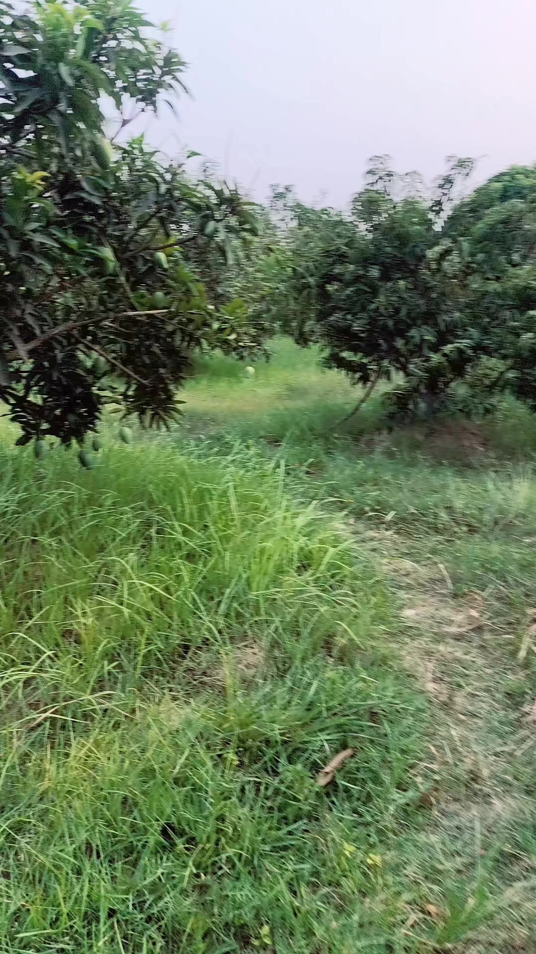 @Tiwari Bishnu513