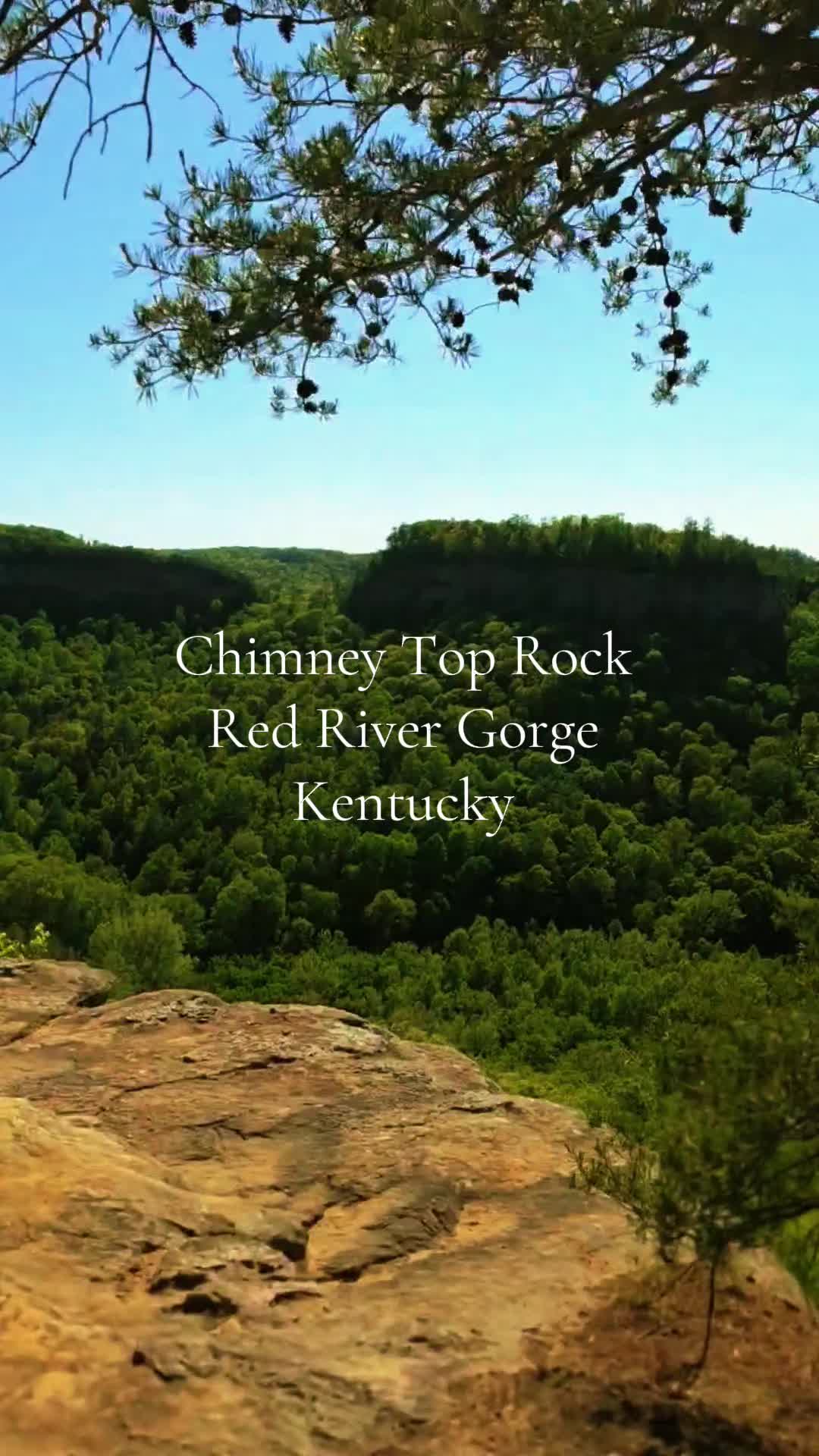 @Kentucky_simpleman1994