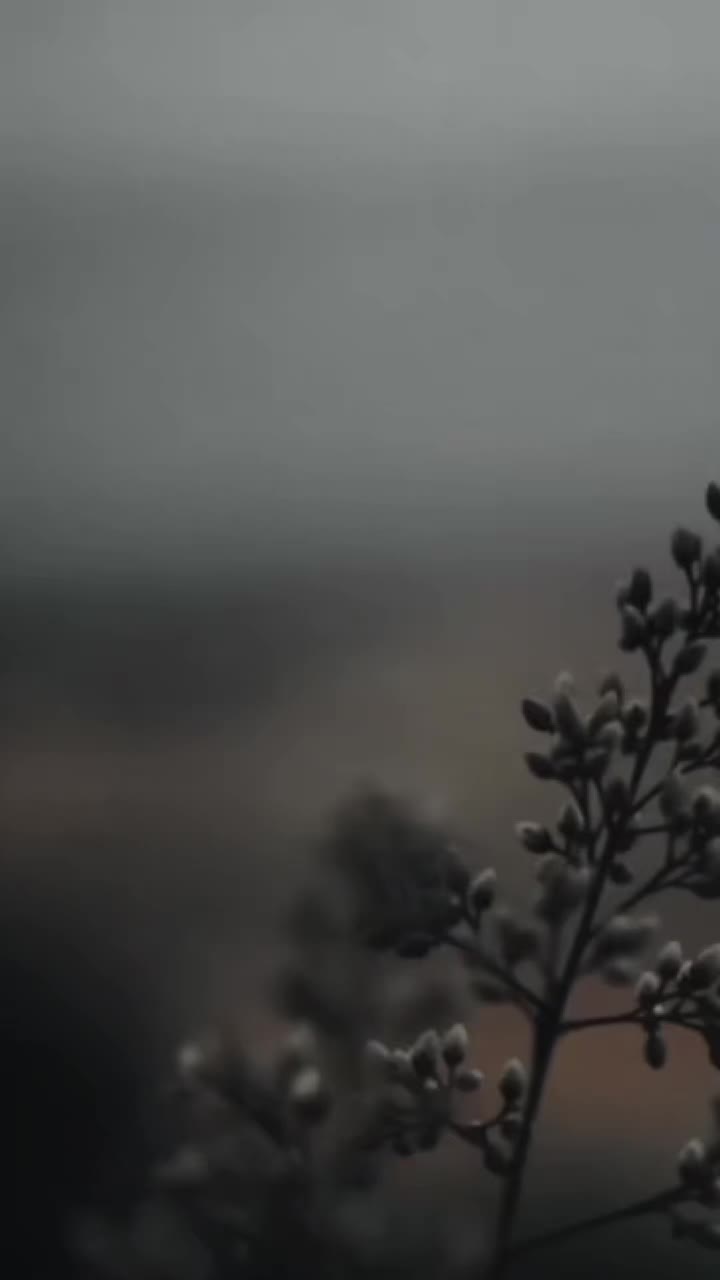 @ℙ𝕣𝕚𝕟𝕔𝕖𝕤𝕤👑𝑀🥀🫶