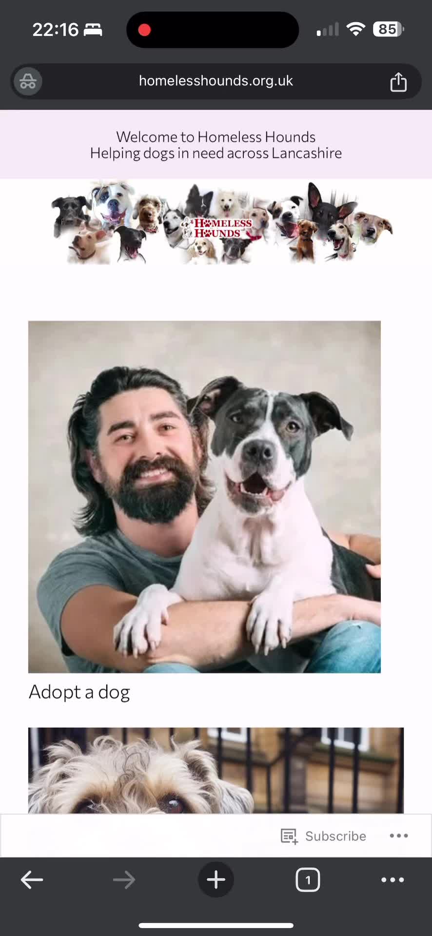 @Homeless hounds