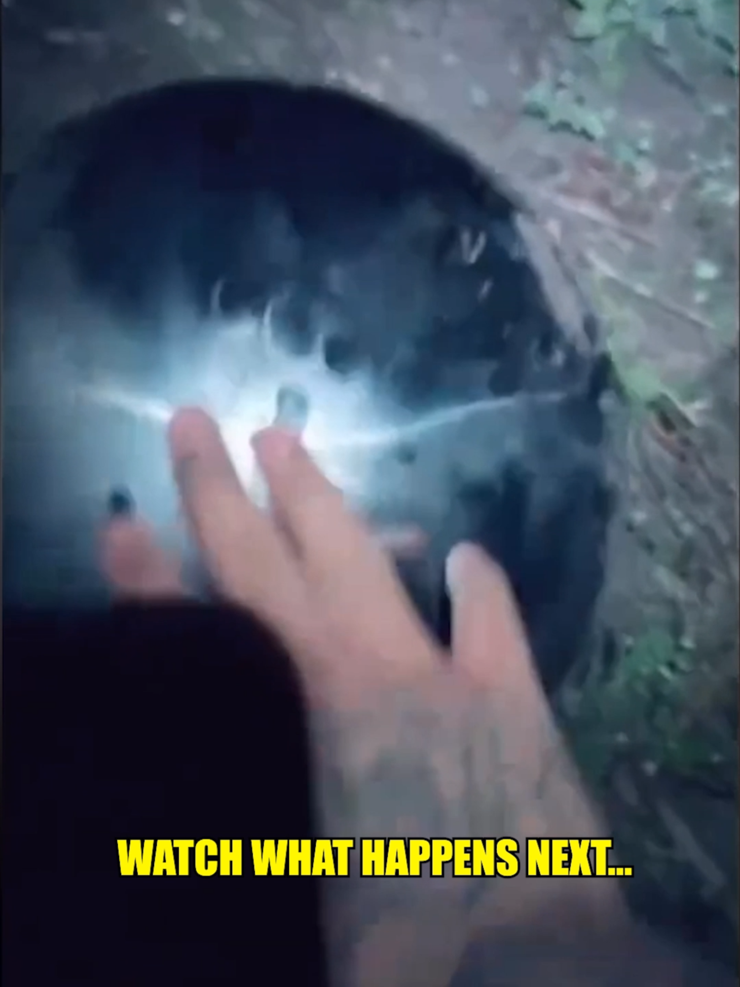 @Slapped Ham