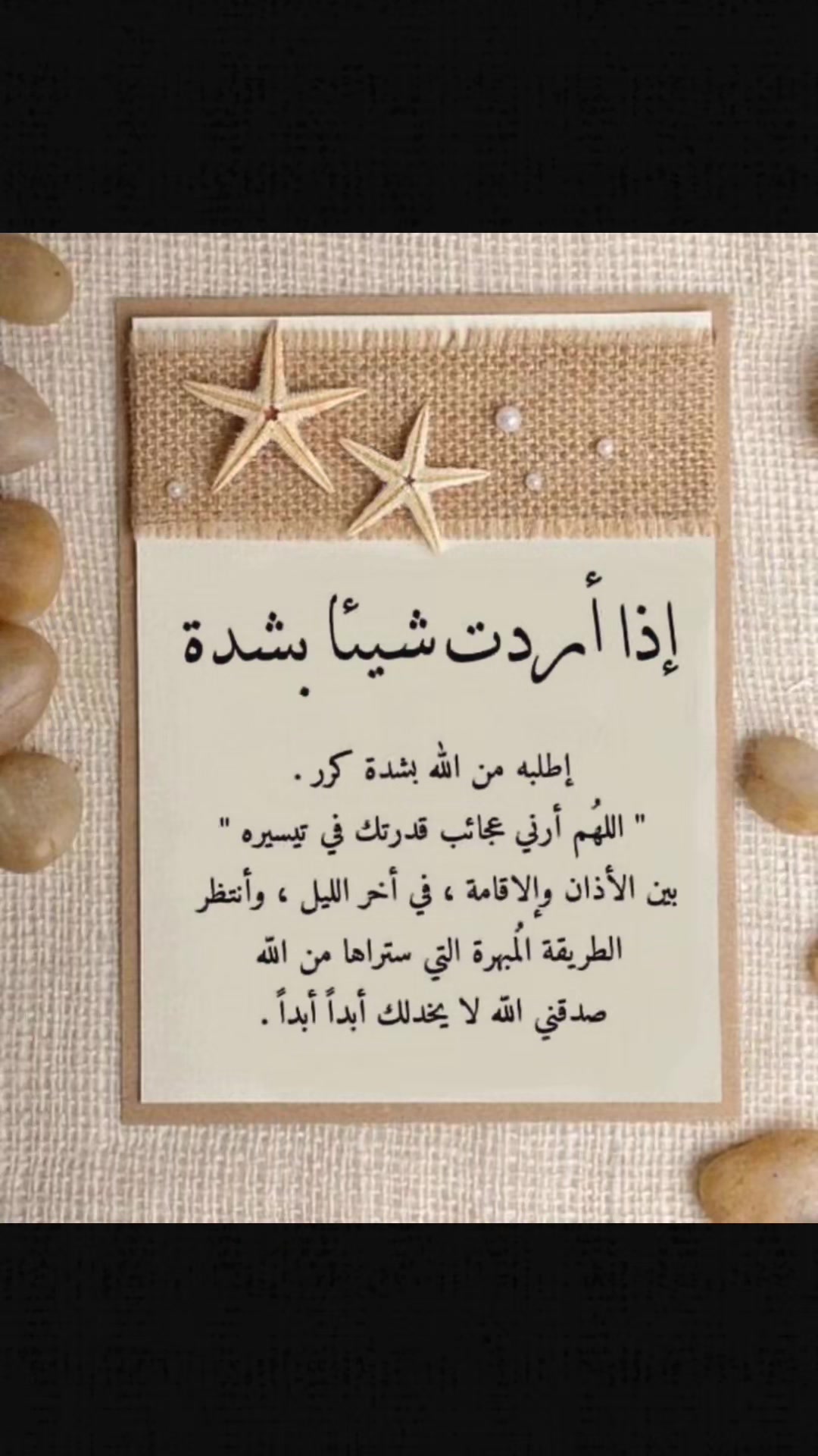 @bosbos dodo❤️