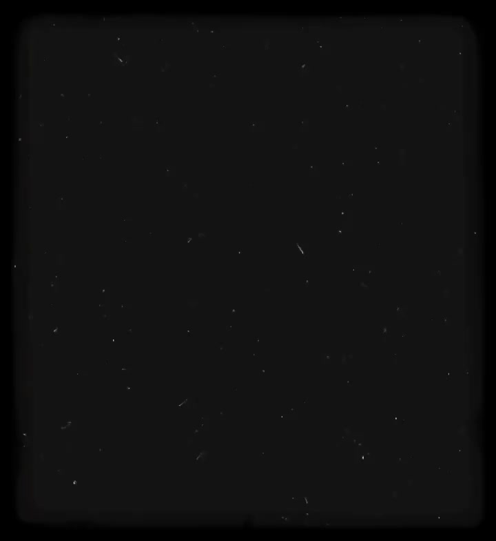 @𝐓𝐫𝐞𝐳𝐳𝐰𝐲𝐲