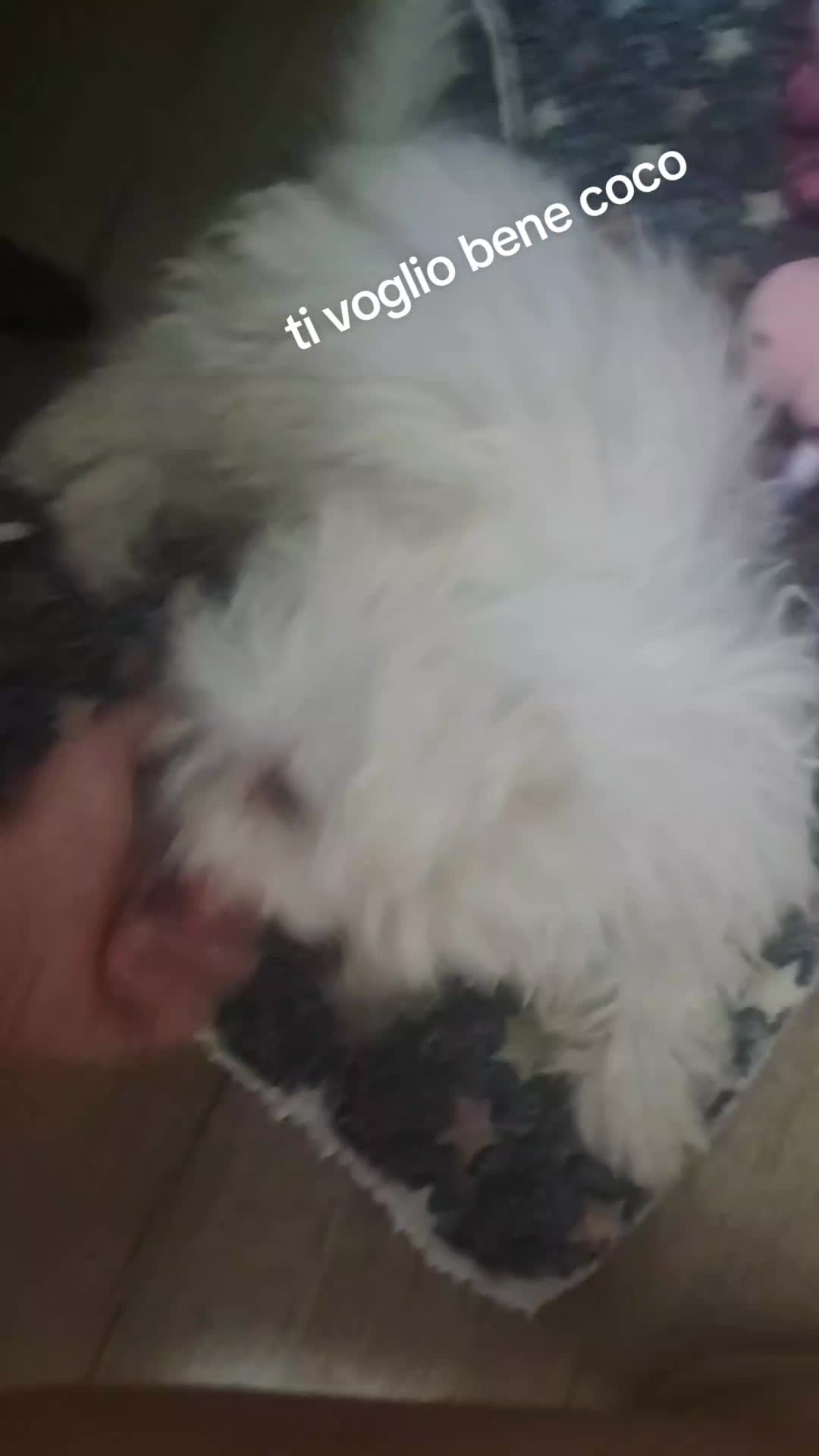 @ioleeeeee