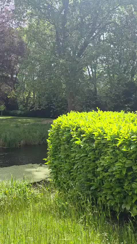 @المهندس