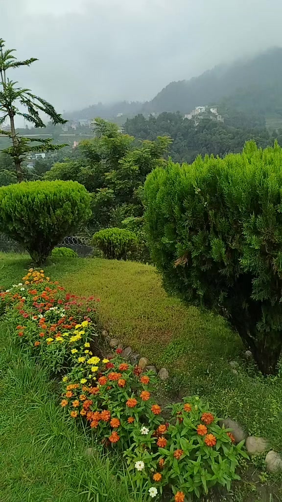 @Jyoti Jha