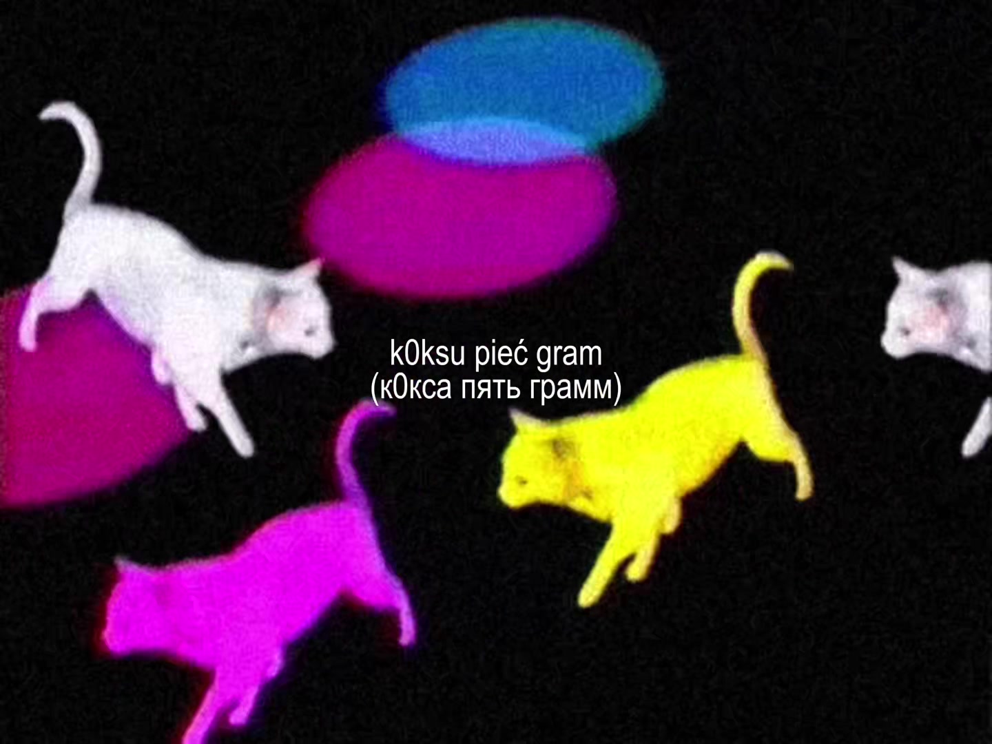 @𝑀 🤍