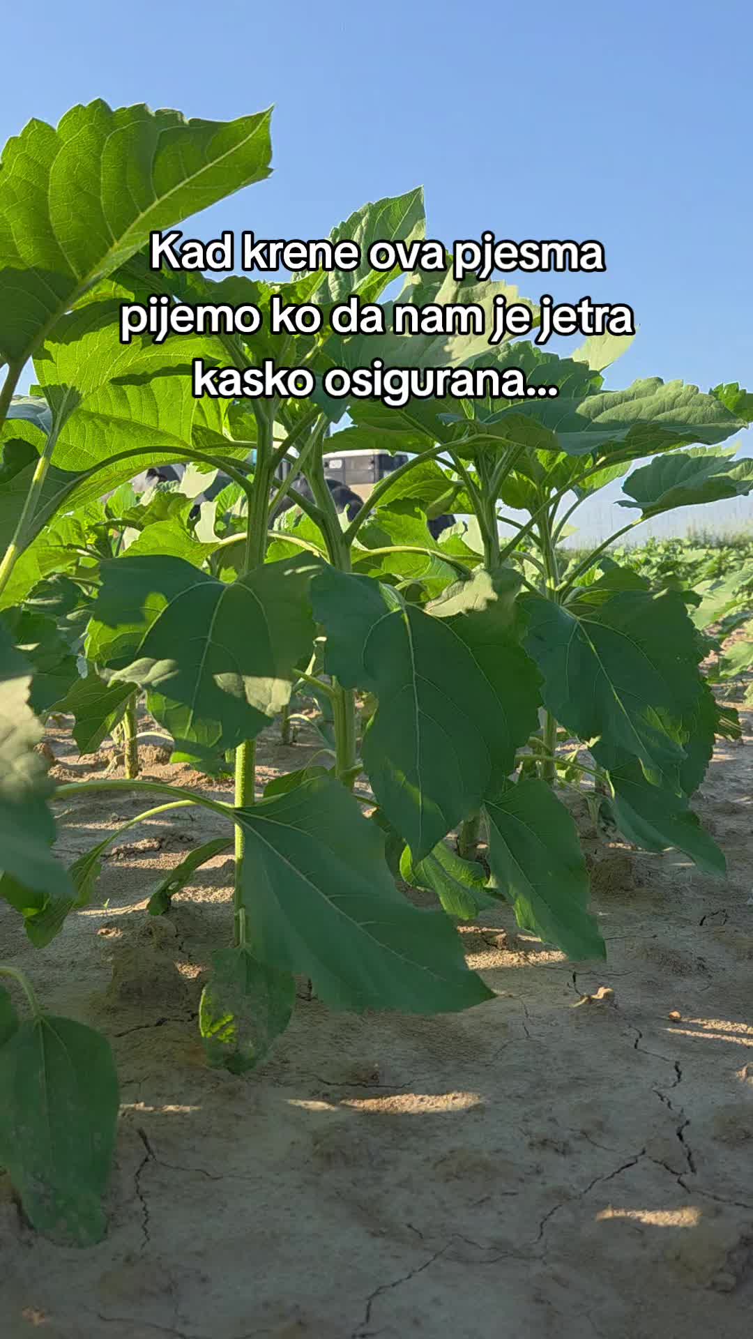 @Šiber