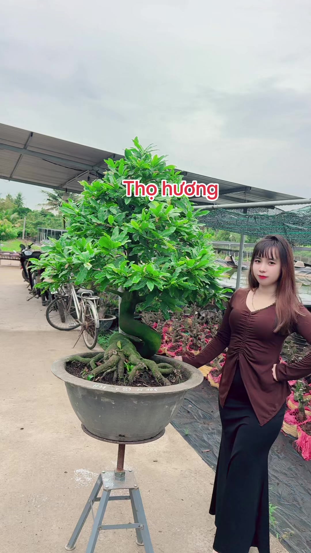 @Chichchoebong79