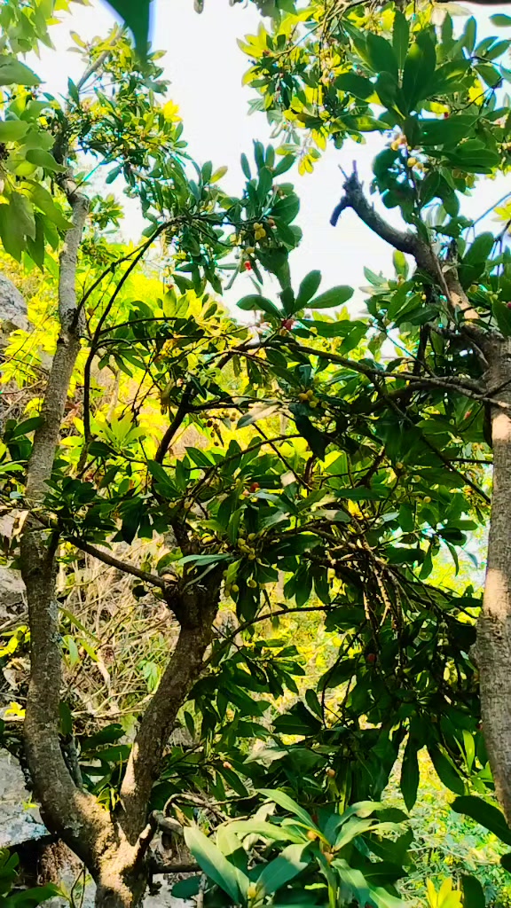 @@प्रशान्त xettry ❣️