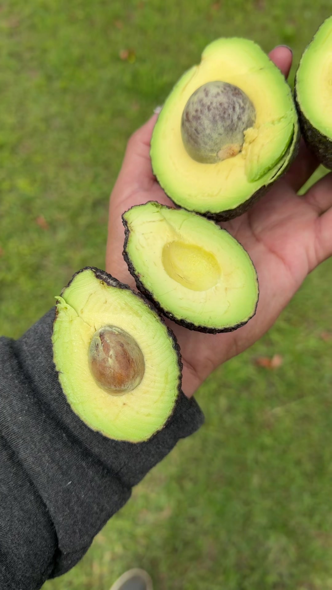 @Mr Kraus 🥑