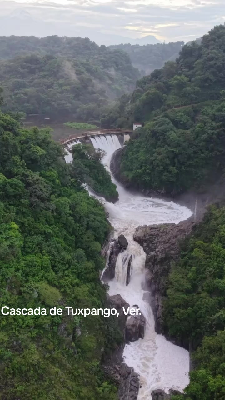 @Arenas Travel