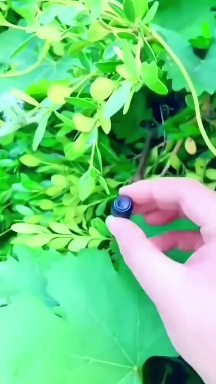 @bengoodthing11
