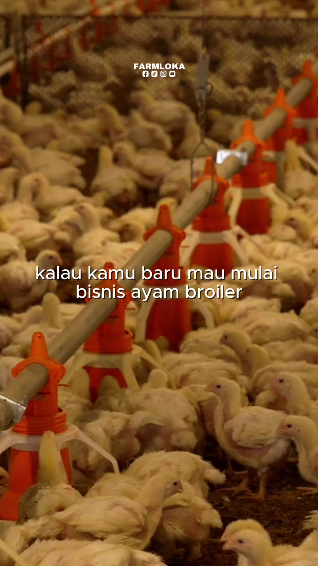 @Farmloka