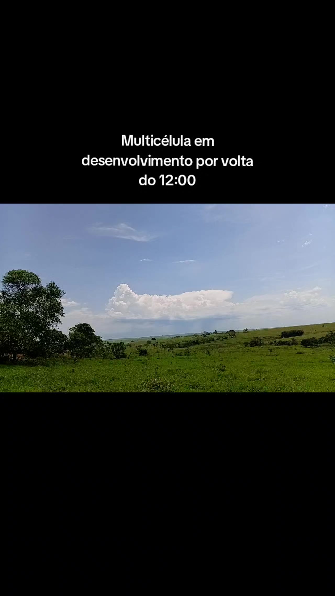 @🌪️🌀⛈️LuizSpotterSP⛈️🌀🌪️