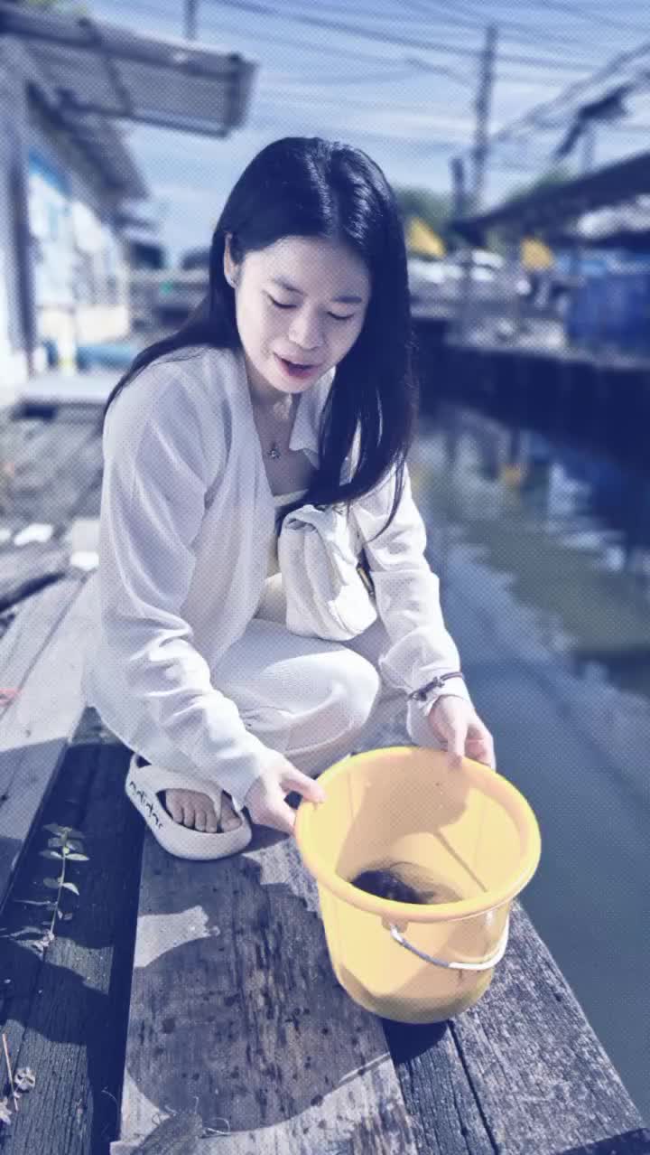 @๐๐บ Nan. San. Dar ๐๐