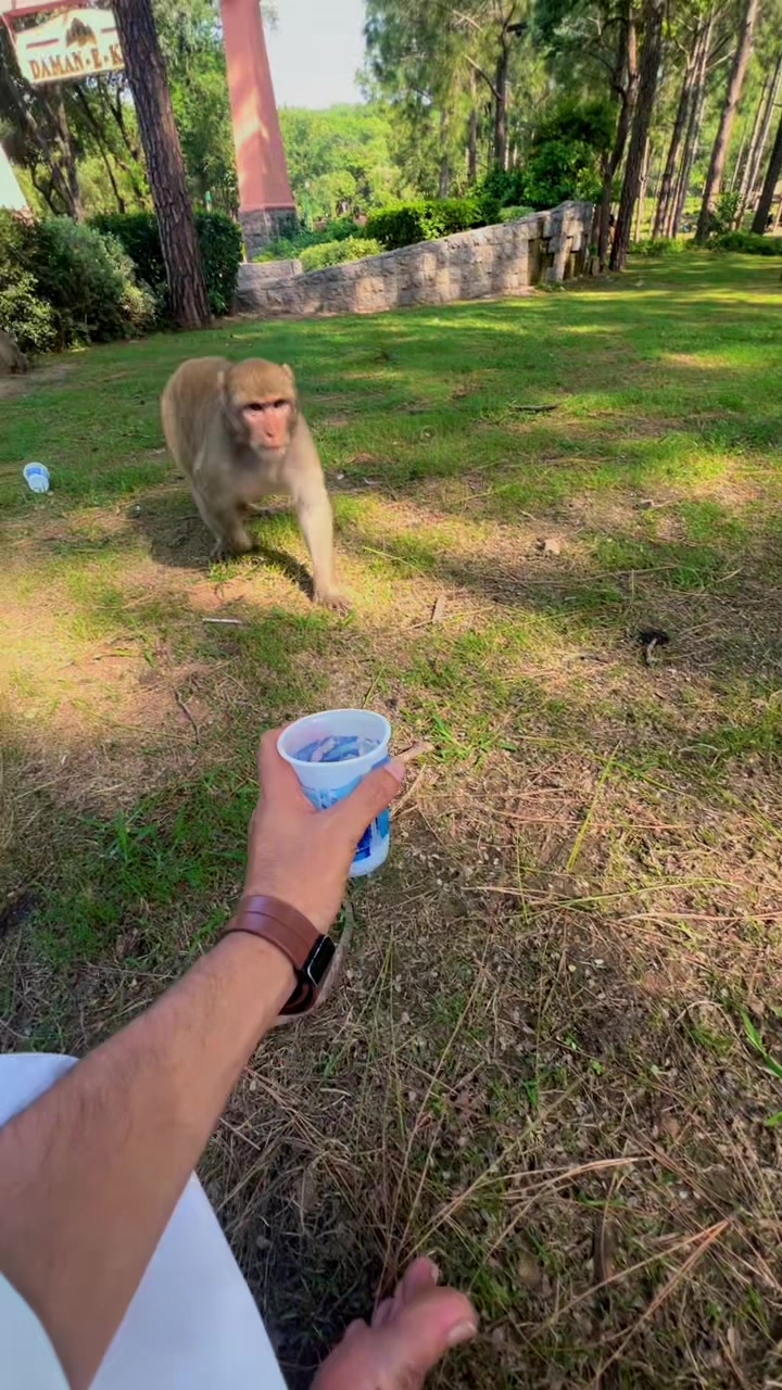 @𝔹𝕒𝕤𝕚𝕥 𝕫𝕒𝕞𝕒𝕟👑