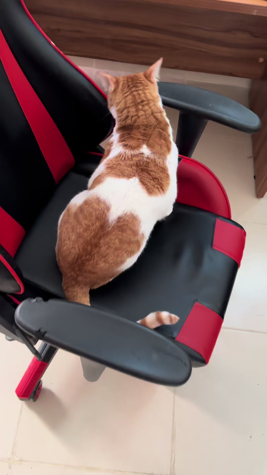 @Father5cats