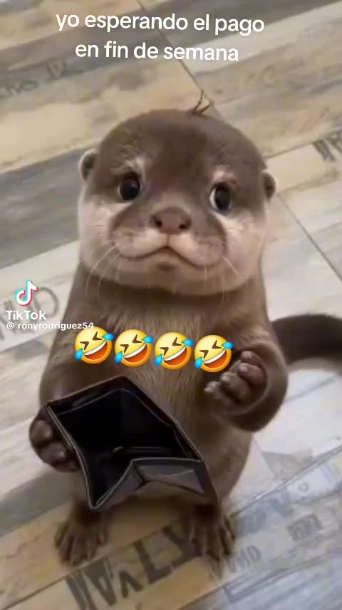 @Alexito 502
