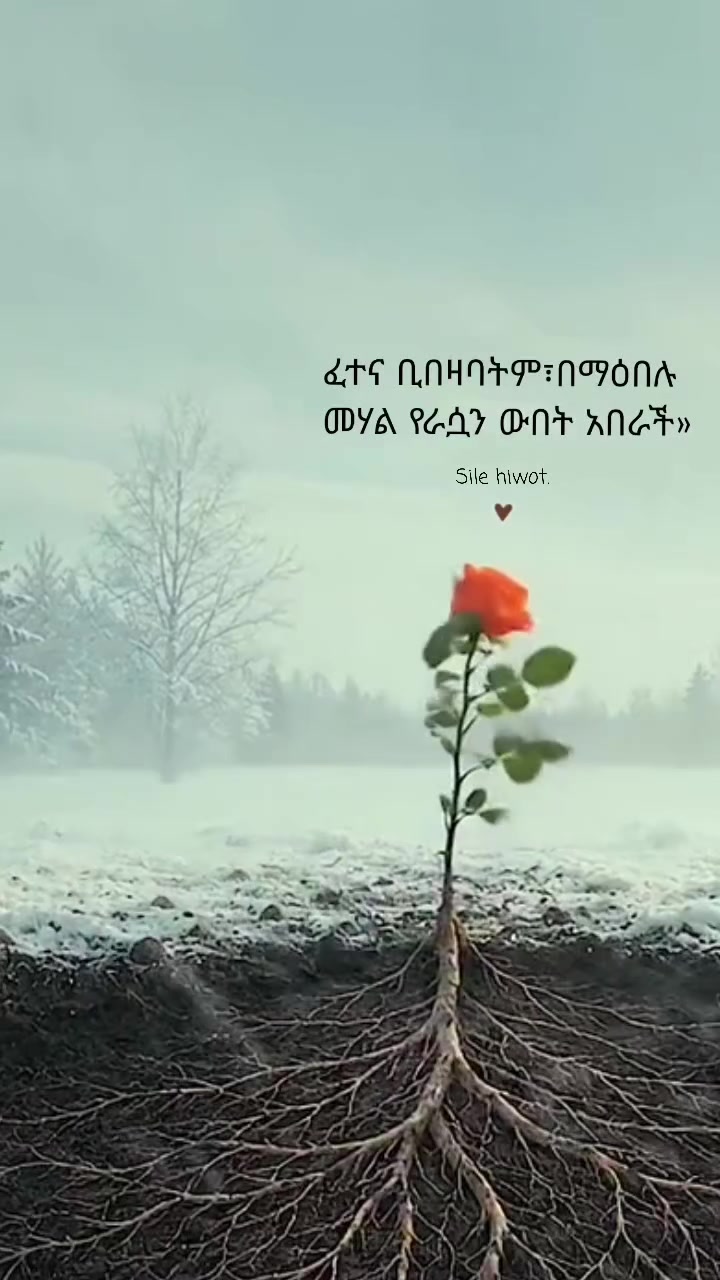 @ስለ ሕይወት 🦋
