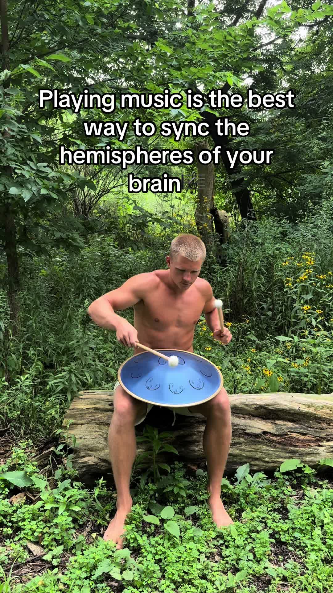 @SunlightSalesman