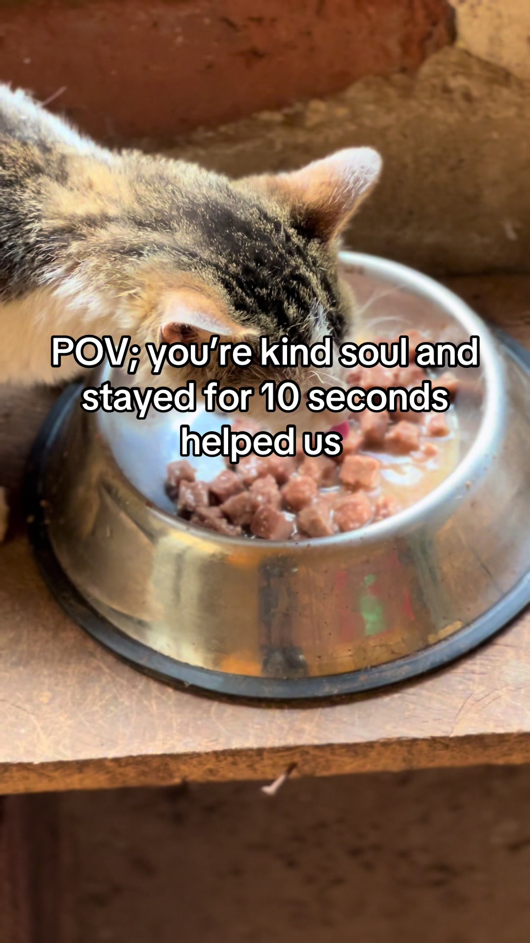 @D strays
