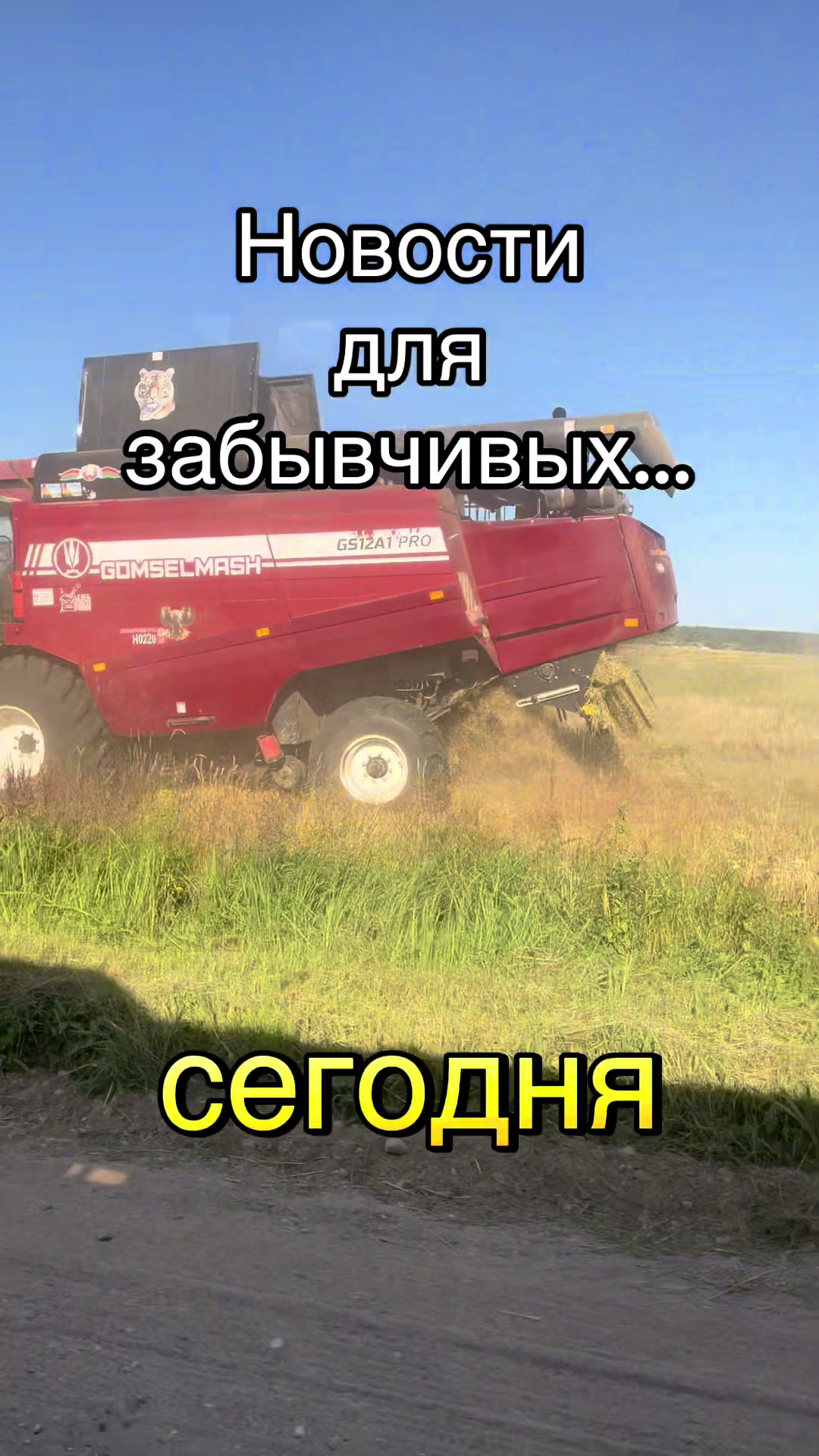@Елена♐️
