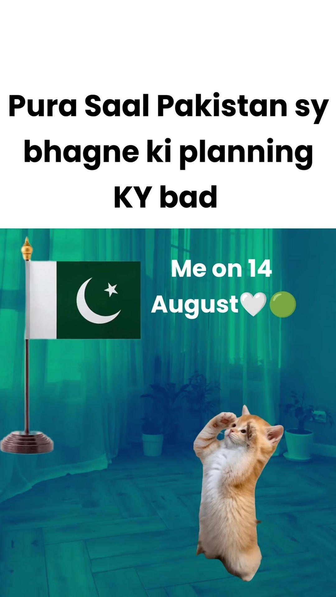 @MrS Tanveer 🫰🏻🫶🏻🫀