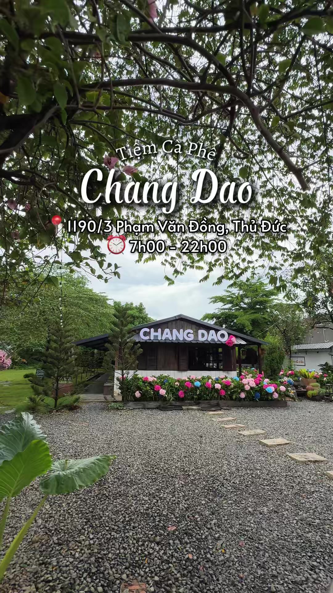 @thao leader
