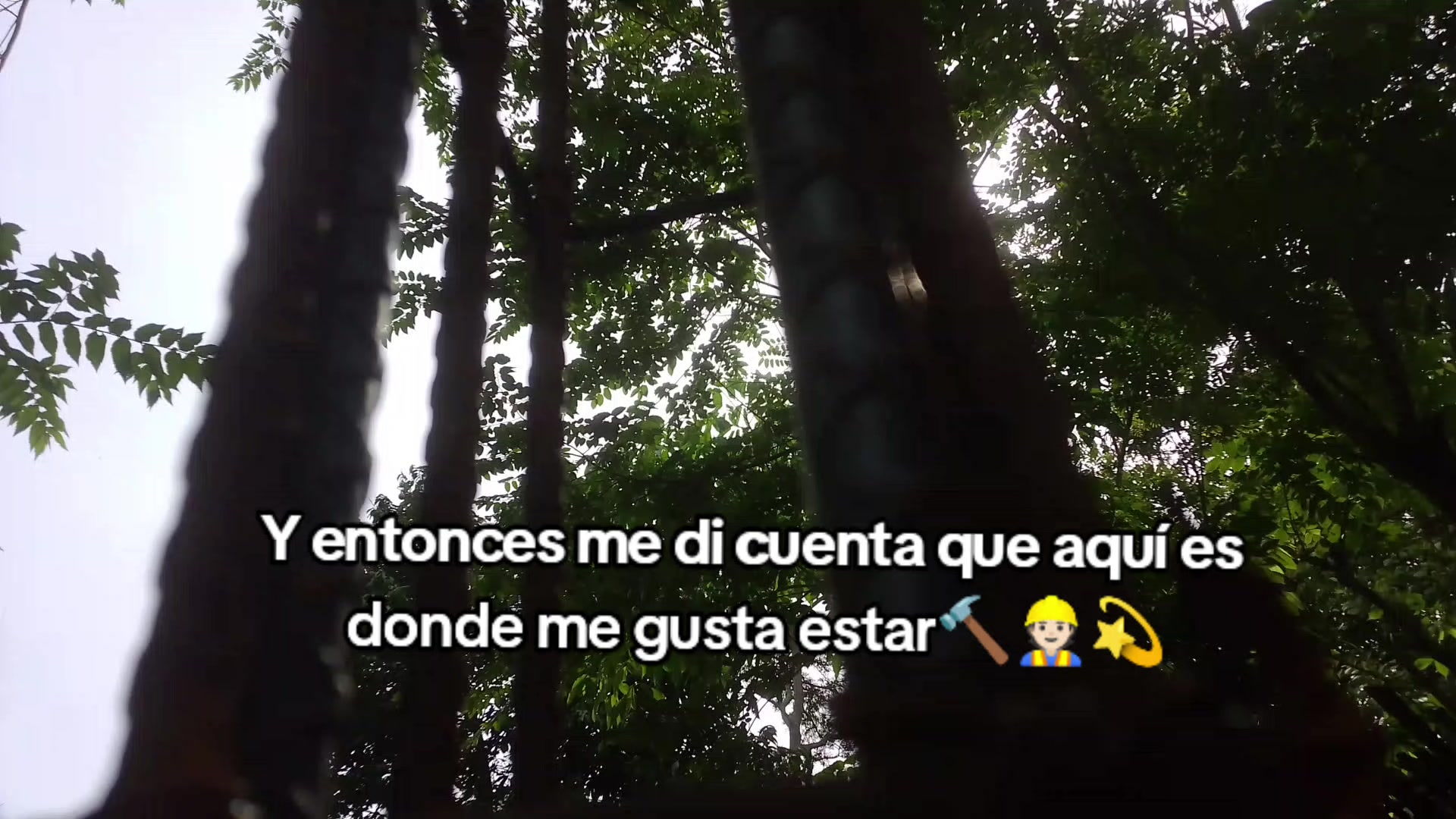 @Donal.. Ramírez..R,😜⚡✨