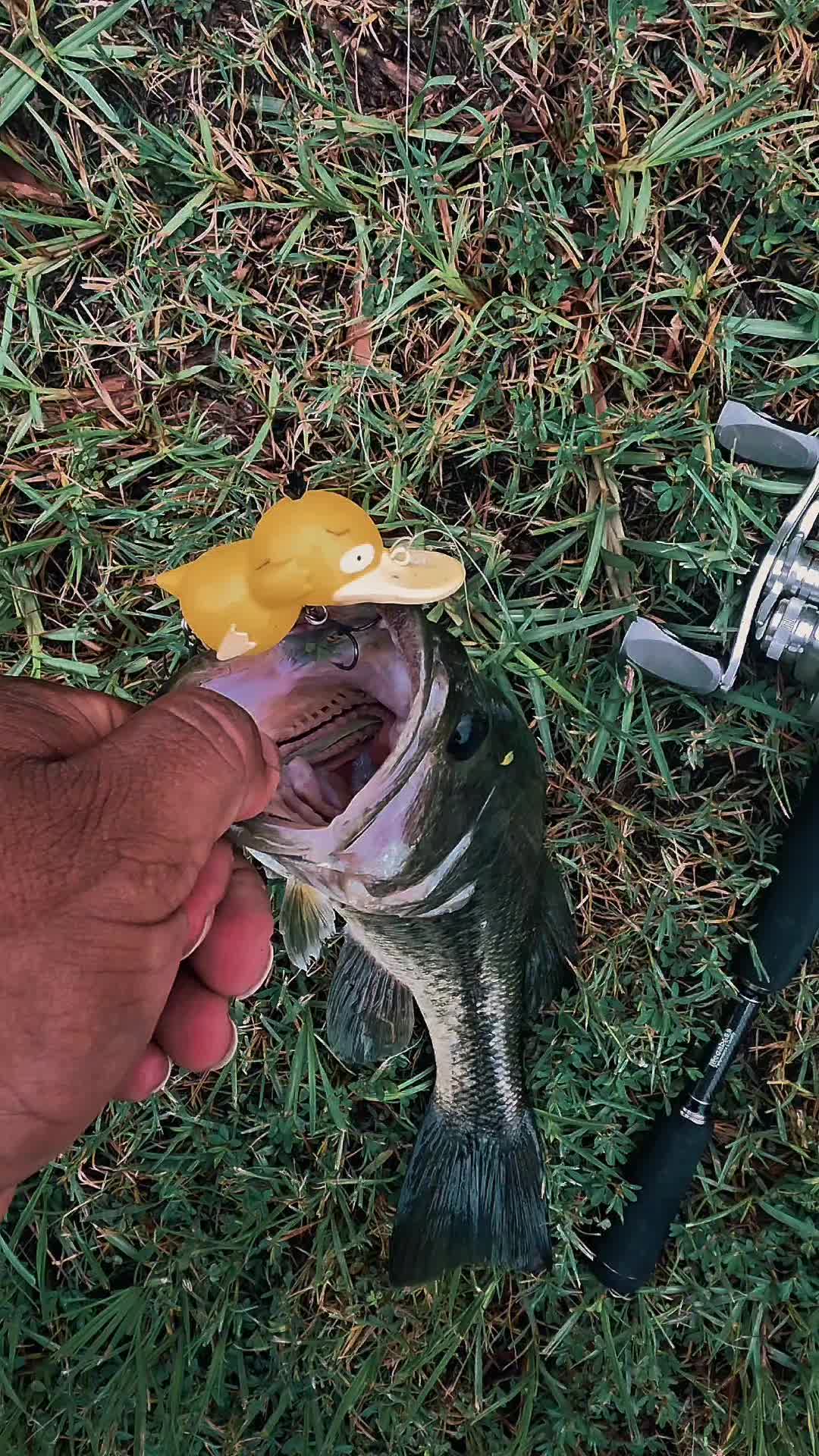 @FishingwithJairo
