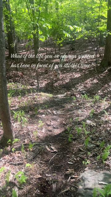 @cedarpineacres
