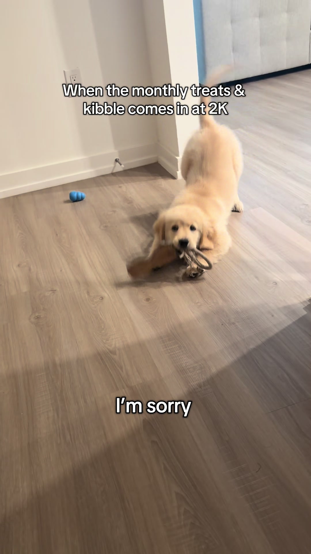 @Luca the Golden