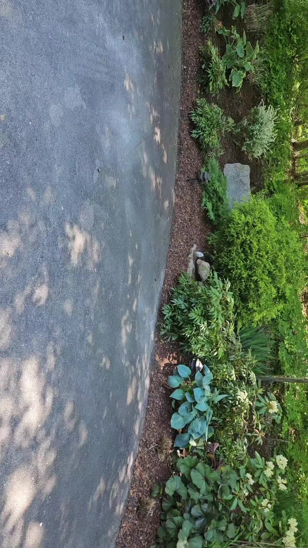 @mi ñañito