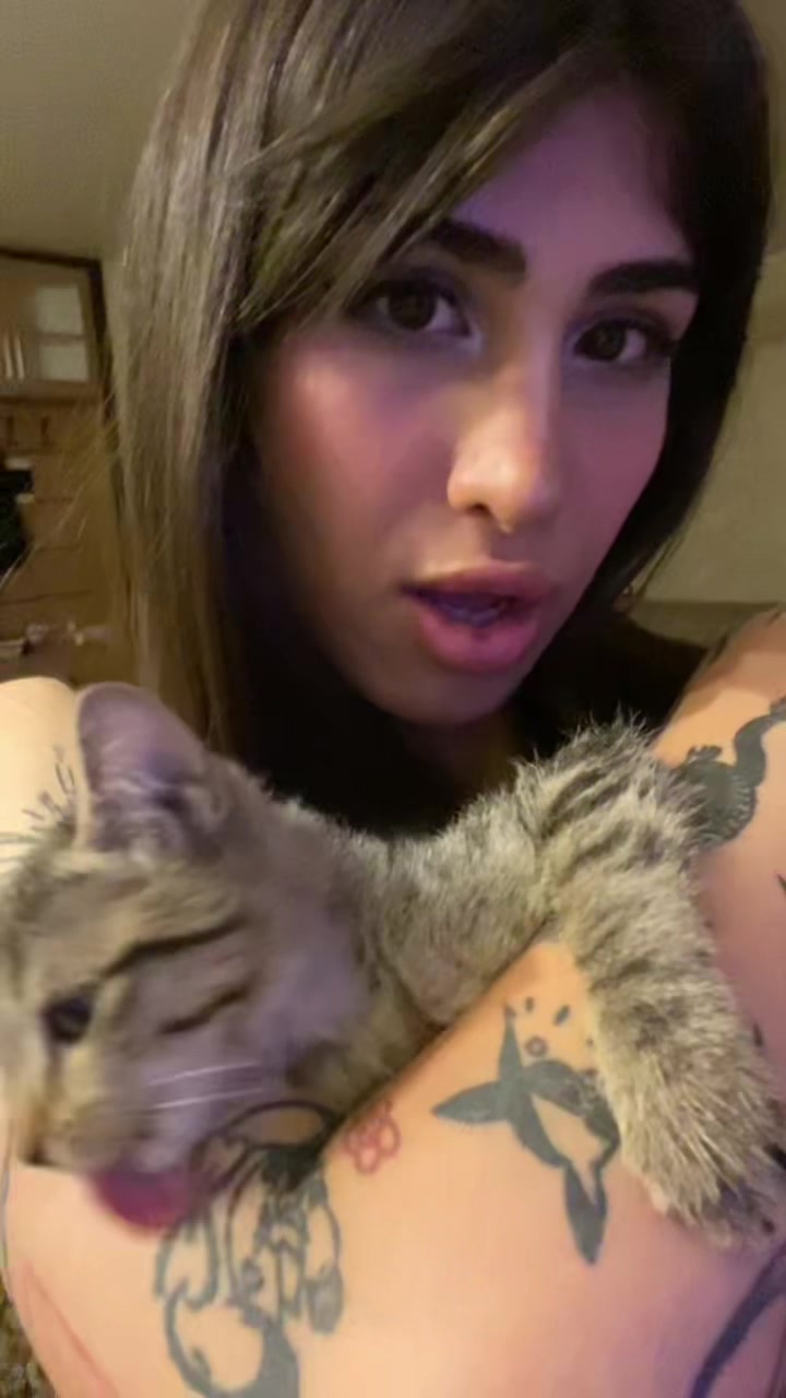 @hanieh