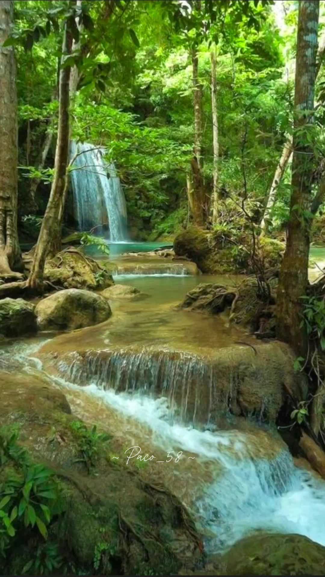 @🦋🦋Suley503🦀🦋