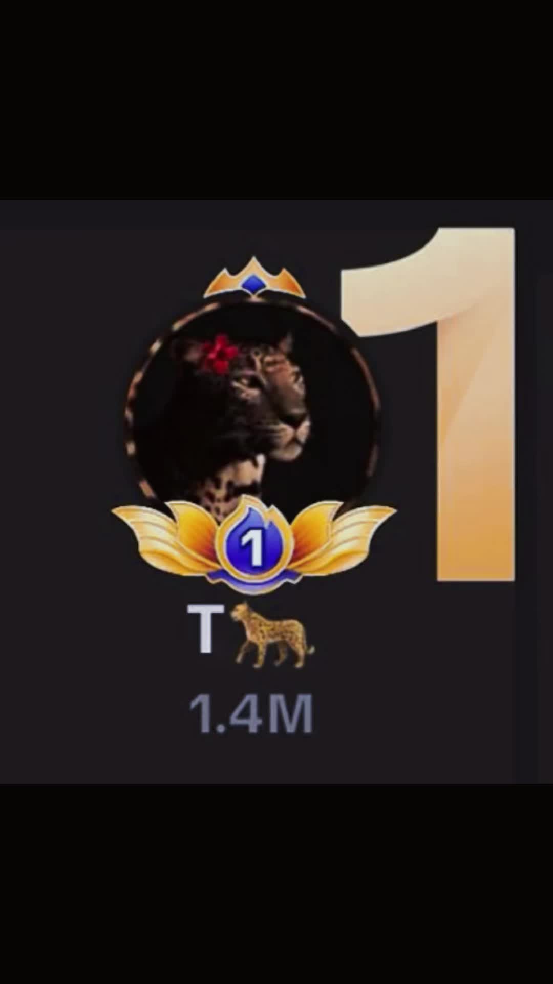 @T🐆