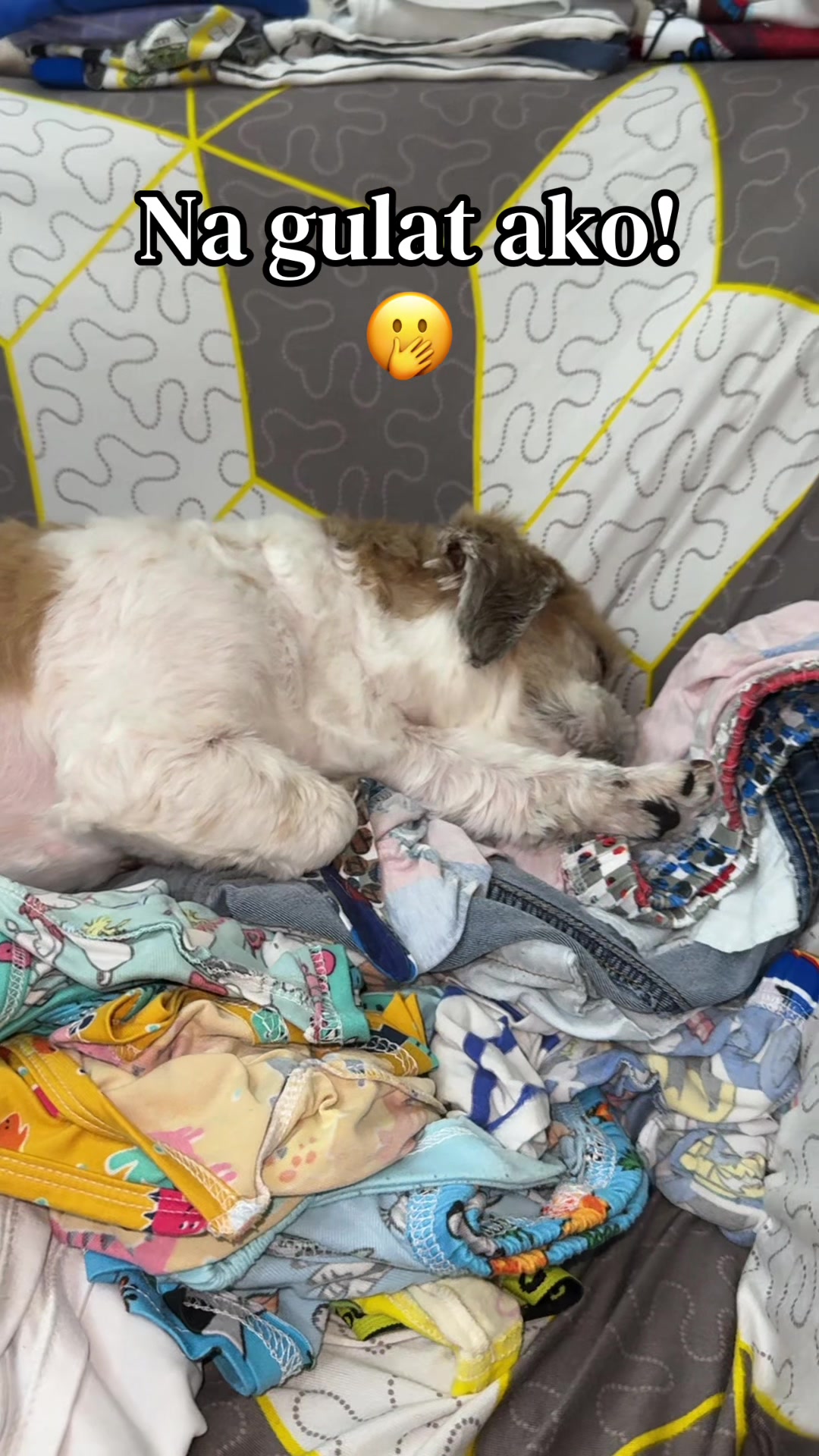@`MYDäHALU♥️🐾🪬