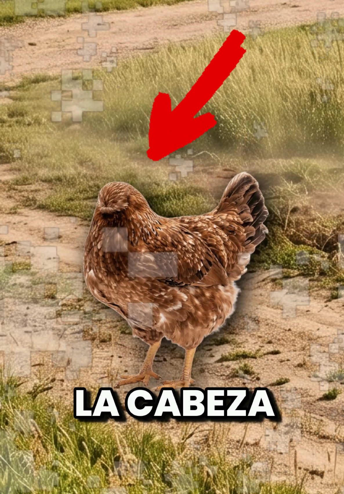 @GabSolf