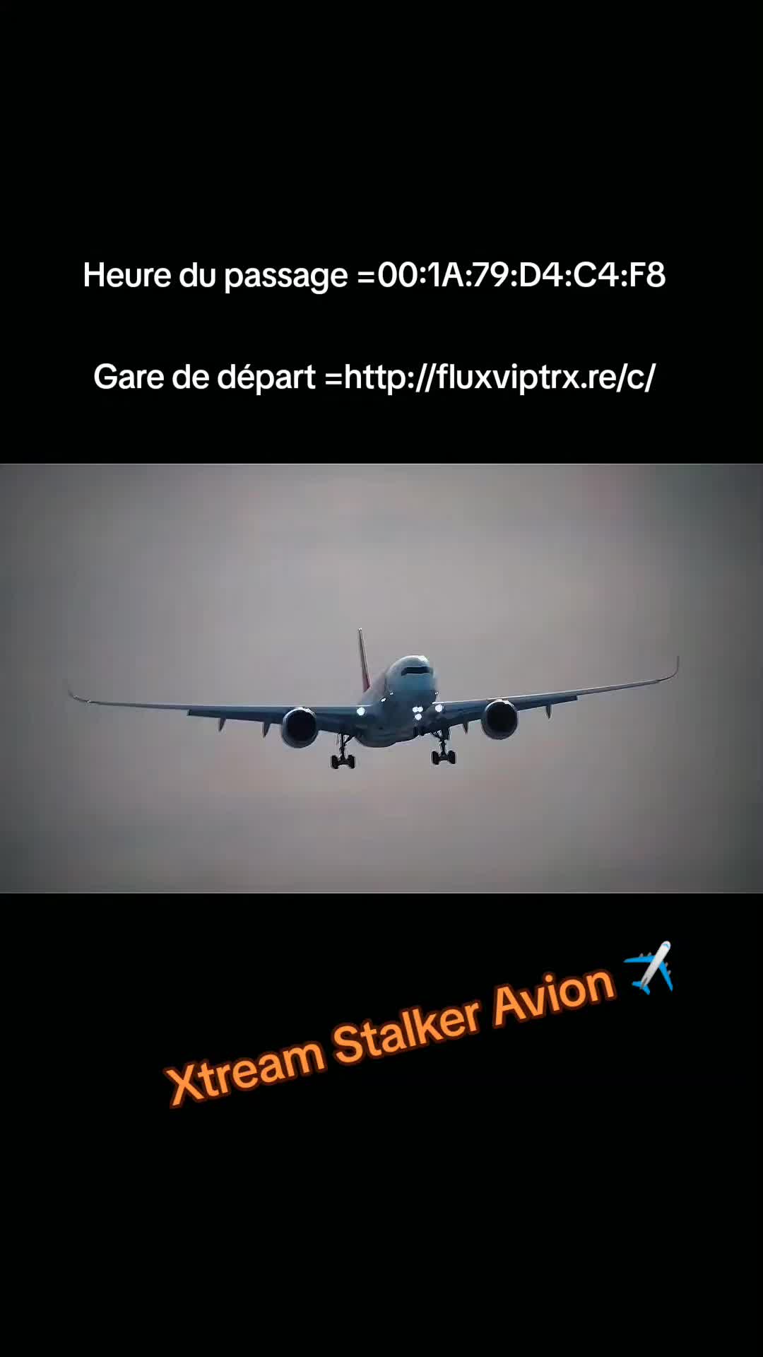 @𝗔𝗶𝗿_𝘅𝘁𝗿𝗲𝗮𝗺