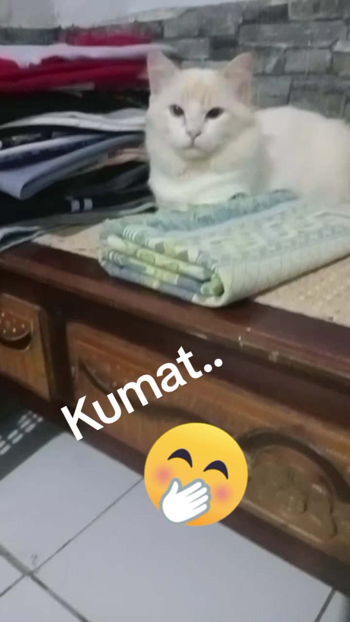 @جولياندوت